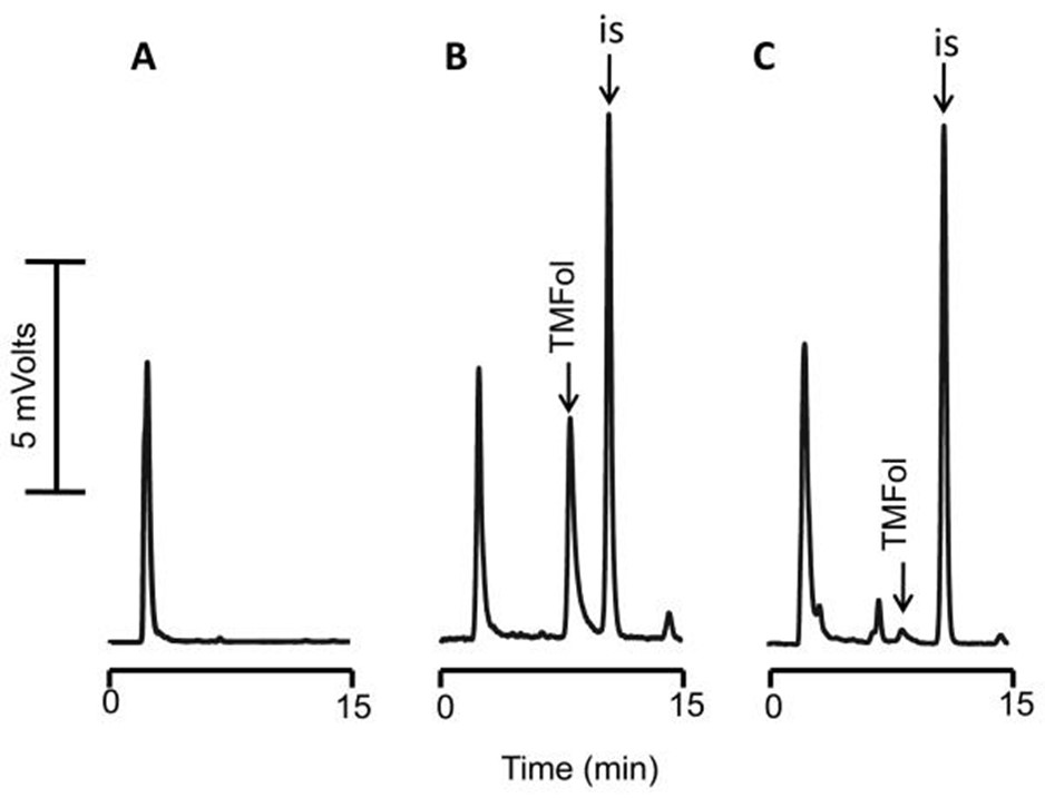 <b>【佳学基因检测】神经科基因分子诊断项目招标问题中关CEACAM8问题的答案</b>